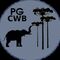 PostgreSQL Curitiba