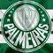 Canai UOL Esporte - Palmeiras