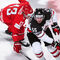 HockeyFreaks Hockey, NHL and Swiss Ice Hockey National League Freaks