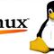 Estudante Linux
