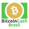 Bitcoin Cash Brasil